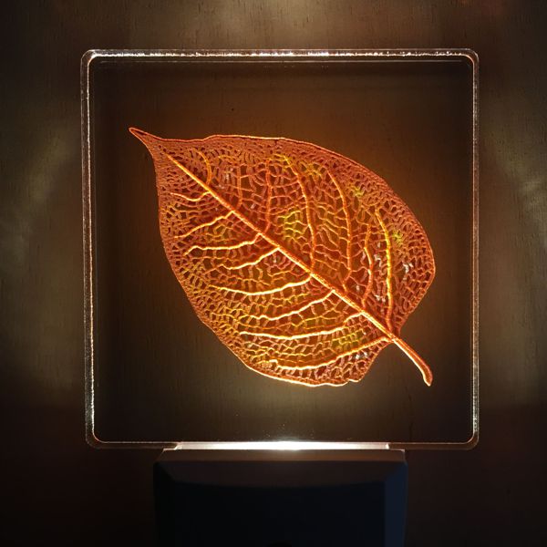 Leaf in Fall colors light impression lamp